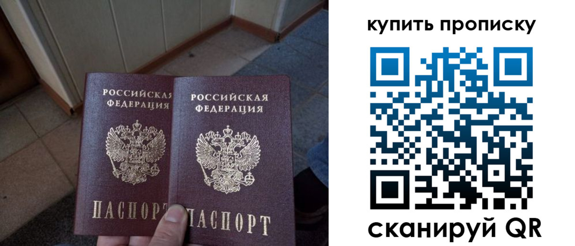купить прописку в Елизово